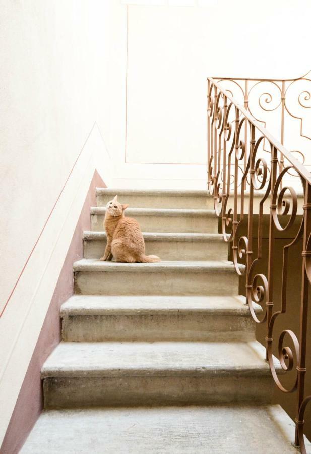 Apartament Charme Con Parcheggio Lukka Zewnętrze zdjęcie